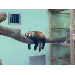 ユーザー画像
