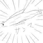 どら