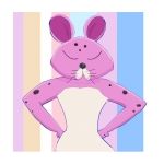 しまこ