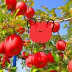 ほほ