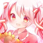 ＊ゆきうさぎ＊→七瀬ゆき