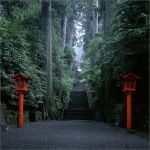 荒野のウエスタン