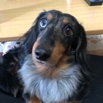 userPhoto