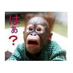 userPhoto