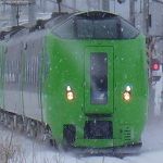 ヨシノシン