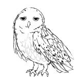 デラちゃん
