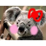 あゆにゃん＞ω＜*