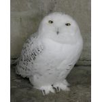 userPhoto