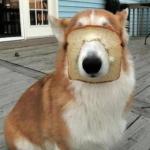 キットカット