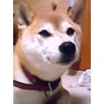 凜ちゃん