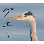 回転式発動機