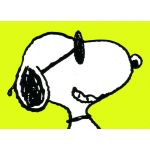 userPhoto