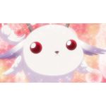 ちーたむ