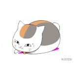 kyonpapa