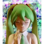 すーめだか
