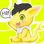 Coludy