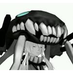 あおかけす