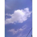 userPhoto