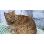 userPhoto