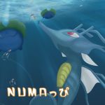 NUMAっぴ