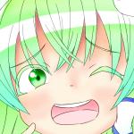 きまぐれたぬき