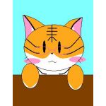 あーも