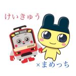 けいまめ