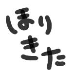 堀北