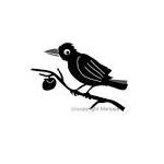 RAVEN