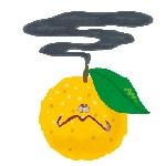 柚故障