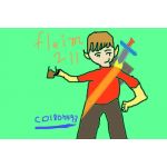 fleim211