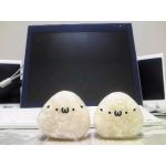 けすす