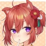 userPhoto