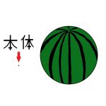 スイカ