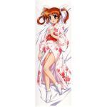 nanoha