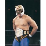 タイガーマスク