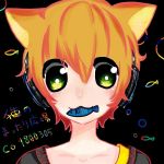 風猫