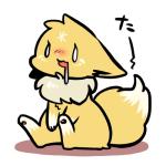 すすぎや