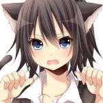 にゃん太