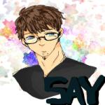 SAY星
