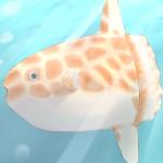 じらふまんぼう
