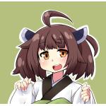 縦海けん