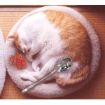 きしめん