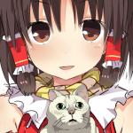 ねぎ