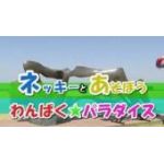 ネキパラ