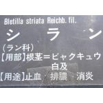ヴァーム