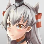 きのみき