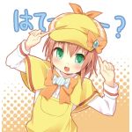 さわお