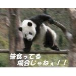 ミハル