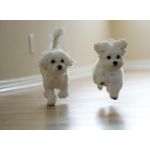 ユーザー画像